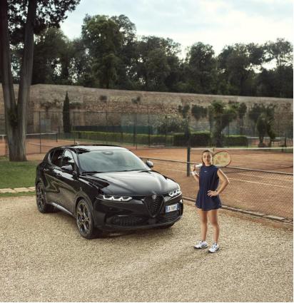 案最稳定 案最稳定